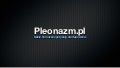 Pleonazm.pl – jak to działa