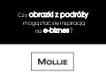 Czy obrazki z podróży mogą stać się inspiracją na e-biznes?
