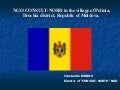 NGO CONSULT-NORD