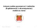 Lietuvos sveikatos rūmų -LSNR- pristatymas