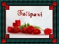 Prijateljstvo Tulipani