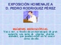 Imágenes microscópicas Primaria 
