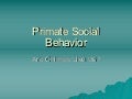 Primate Social Behavior