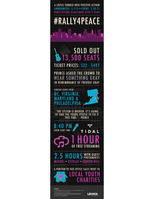 Prince's 'Rally 4 Peace' Benefit Co...