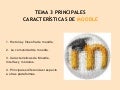 Principales caracteristicas de moodle