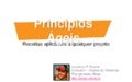 Princípios ágeis - Semana Acadêmica Inf UFRGS 2013