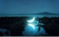 Private Moon por Leonid Tishkov