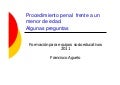 Procedimiento penal frente a un menor de edad