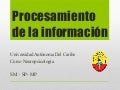 Modelos de procesamiento de la informacion