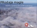 P rodaja magle  e trgovina 2012