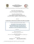 Producto 2  Vers Final Rev Bib Pensiones Especiales J Rodriguez G Ene 18 09