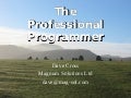 The Professional Programmer