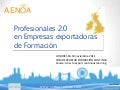 Profesionales 2.0 en empresas exportadoras de formación