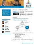 Professional Support Services