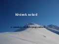 Állat01