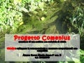 Progetto comenius scultura 3 d