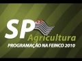 Programação Feinco2010