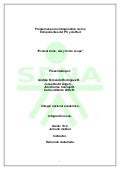 Programa para el diagnostico de los componentes del pc y red 10.2m