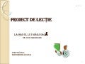 Proiect de lectie
