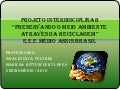 Projeto interdisciplinar Preservando o meio ambiente através da reciclagem