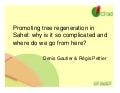 Promoting tree regeneration in Sahel: Why is it so complicated and where do we go from here
