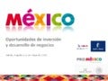 Méjico, oportunidades de inversión y desarrollo de negocio