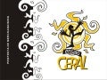 Proposta de Patrocinio Flexada Indoor