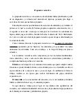 Propuesta recreativa final