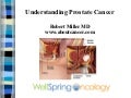 Prostate video 1