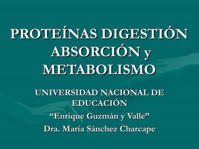 Proteinas. Digestión, absorción y m...