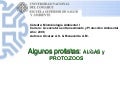 Protistas 2010