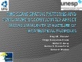 Fine-scale spatial patterns and pond morphology jointly affect metacommunity structure of Neotropical tadpoles