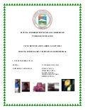 Proyecto de aula