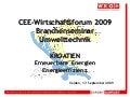 2009. Roman Rauch. Kroatien. Erneuerbare Energie. Energieeffizienz. CEE-Wirtschaftsforum 2009. Forum Velden.
