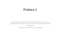 Prubea 1