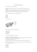 Prueba piloto