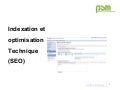 Psm   master 1 -  indexation et optimisation technique SEO
