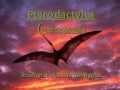 Pterodactylus ignacio