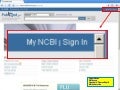 PubMed  My Ncbi