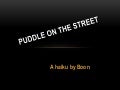 Puddle on the street