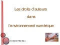 Les droits d&rsquo;auteur dans l&rsquo;environnement numérique
