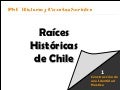 Pueblos Indígenas De Chile