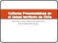 Pueblos precolombinos chilenos
