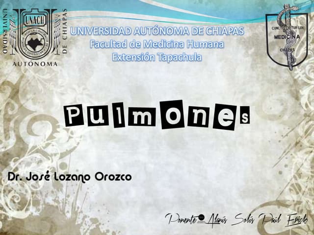 Anatomía de Pulmones