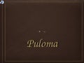 Puloma's 60th Birthday