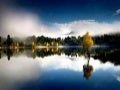 Pulse nature