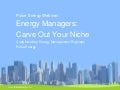 Pulse webinar: Energy Managers, Carve out Your Niche, June 2011