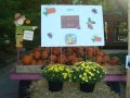 Century 21 Breeden Pumpkin Day, Columbus, Indiana