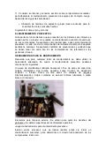 Punto 11 del sena