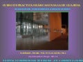 PUNTOS QUIRURGICOS . Prof. Dr. Luis del Rio Diez